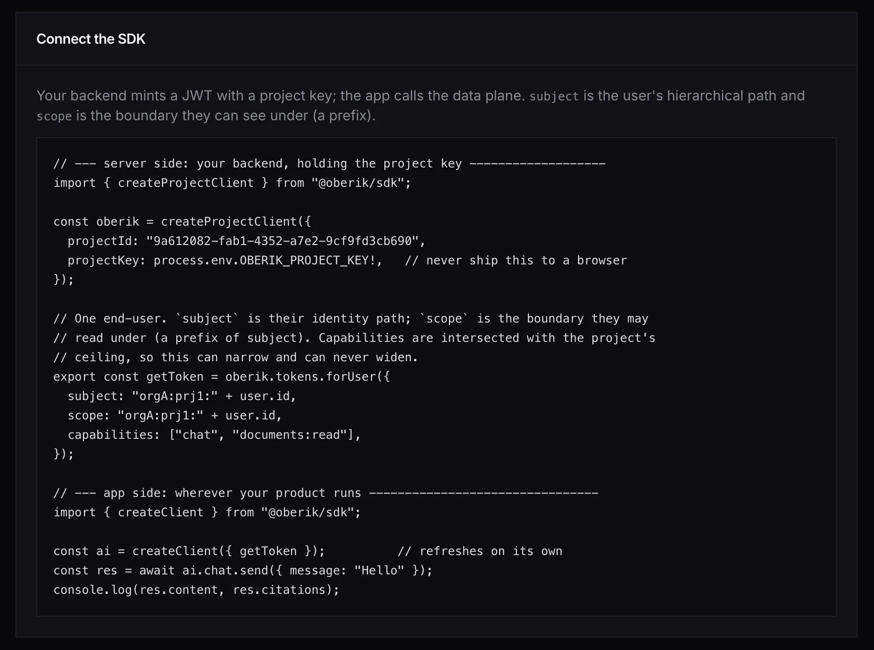 The project id in the SDK snippet.